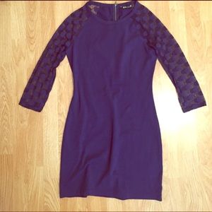 Express Blue Polka Dot Sheer Sleeve Bodycon Dress